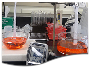 Moisture Management testing