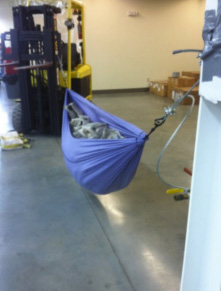 Customized Hammock testing